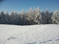 2011-01-03 13.55.48.jpg Photo
