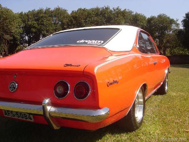 [opala20004800x600[3].jpg]
