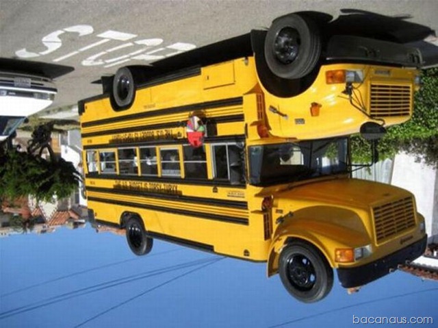 [avtobus-005[2].jpg]