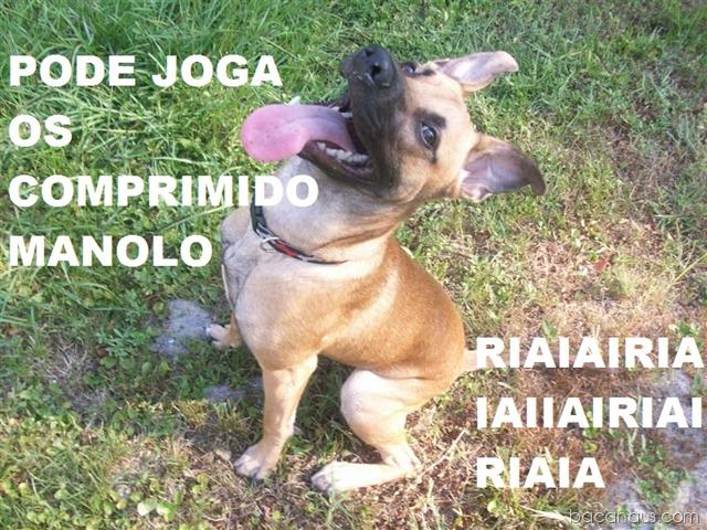 [bacanaus-imagem-do-dia (9)[4].jpg]