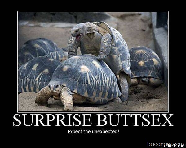 [surprise-buttsex-03[2].jpg]