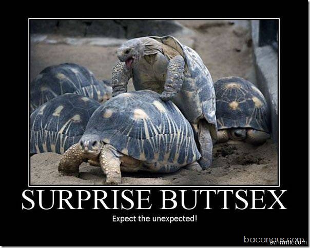 surprise-buttsex-03