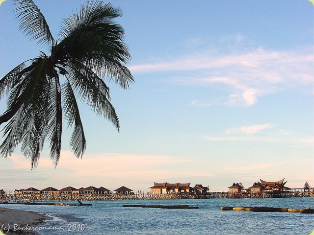 DSC01529-1