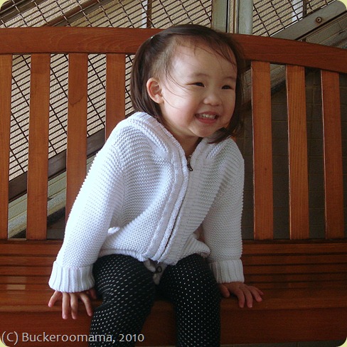 DSC06768-cropped DSC06768-cropped