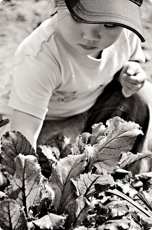 zoe-beets-bw zoe-beets-bw