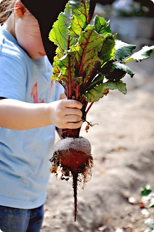 Beet-out Beet-out