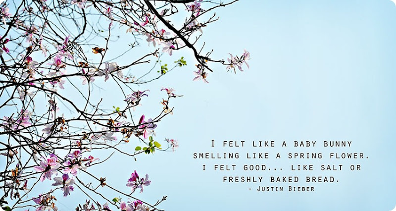Smells-Like-Spring Smells-Like-Spring