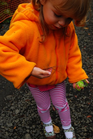 DSC_8932 DSC_8932