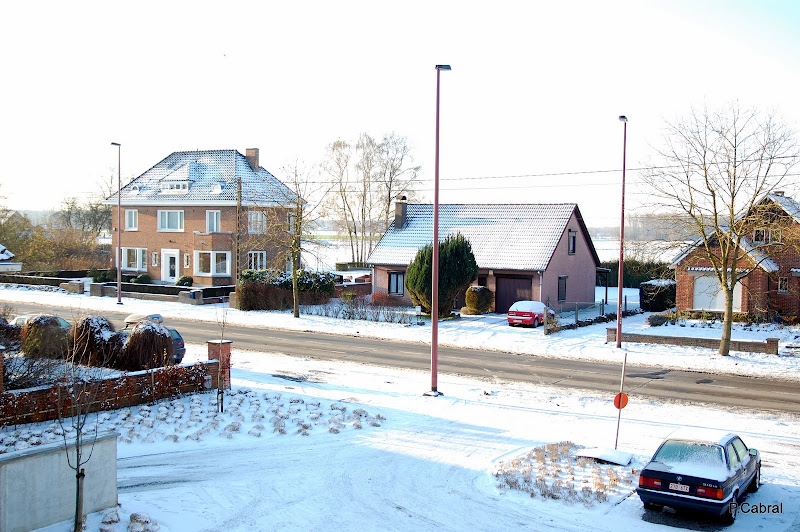 DSC_0008.JPG