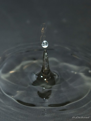 DSC_0065.jpg