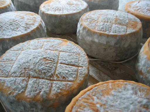 Cheese Aging, Molise