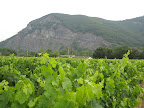 fr 2008 011.jpg