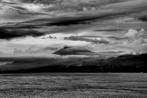 DSC_2790BW.jpg