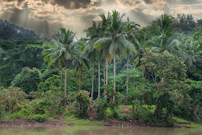 LagunaLanding.jpg