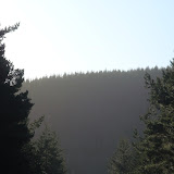 DSC02085.JPG