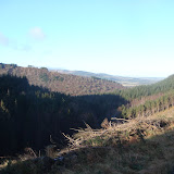 DSC02117.JPG
