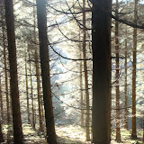 DSC02120.JPG