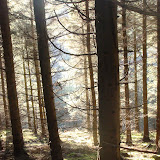 DSC02121.JPG