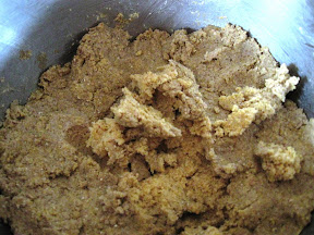 Day 5 in Bethannes Kitchen Jan.%2027%2C%202009%20007 Day 5 in Bethannes Kitchen
