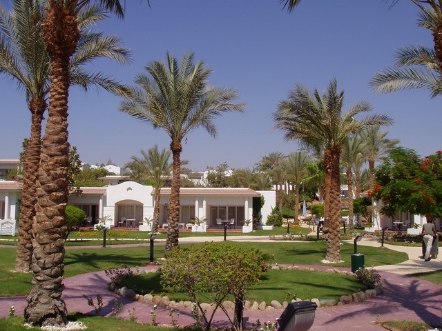 [Sharm3[1].jpg]