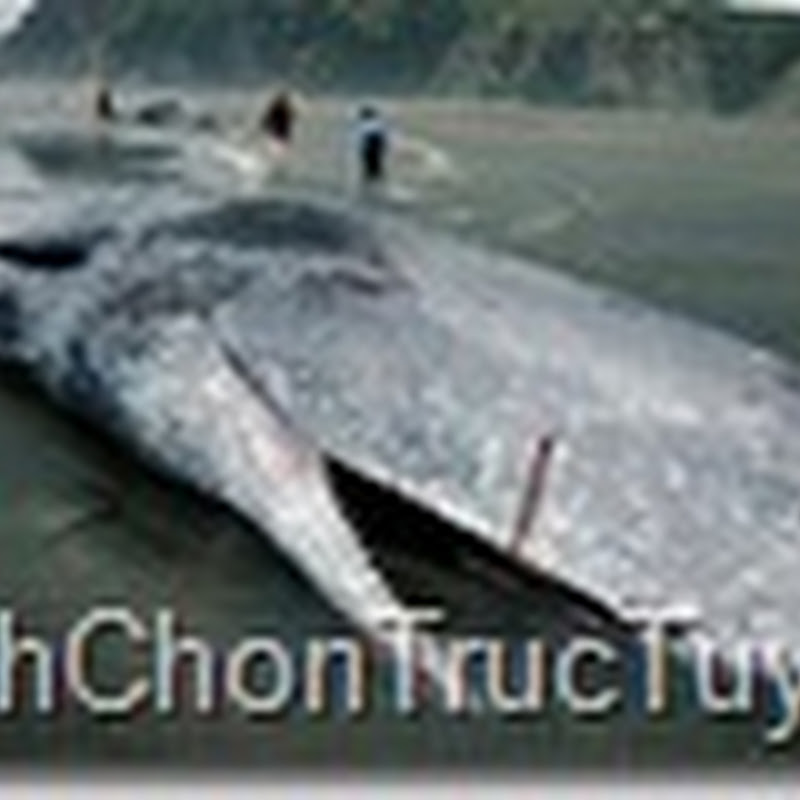 Binh chonĐiểm mặt "thủy quái" ghê rợn nhất thế giới, truyen ngan