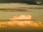 P2298513.jpg