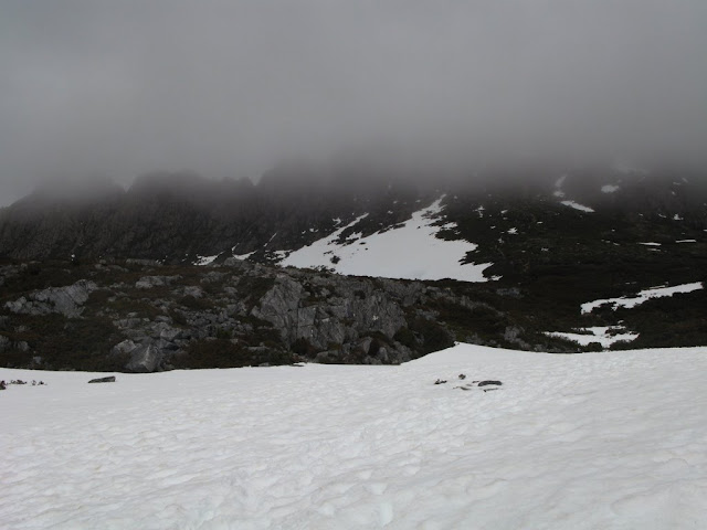 Craddle Moutain