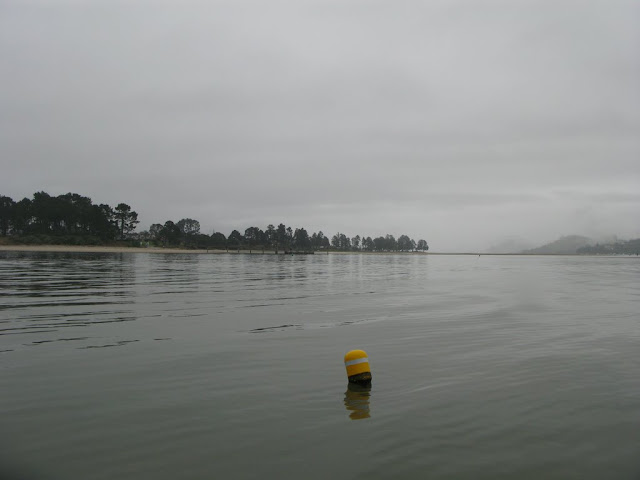 Tairua
