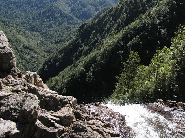 Kaueranga trail