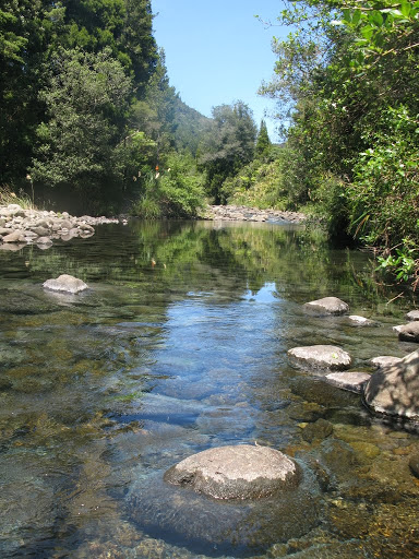 NZ - Kamai-Mamaku Forest Park  - Waitawheta Valley