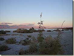 DSC02391