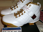 Nike Zoom LeBron V