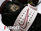 Nike Zoom LeBron V