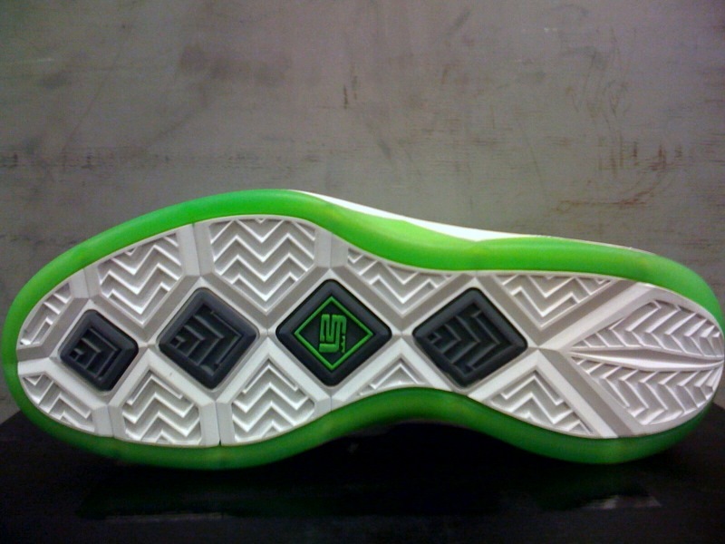 Dunkman Nike Zoom LeBron Soldier III with 3M 411 2009 04_38715