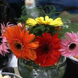 click on the photo to view the entire album