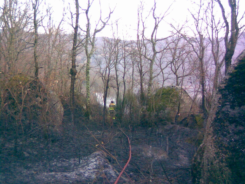 Incendio Forestal en Montemayor