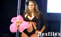 Desfiles