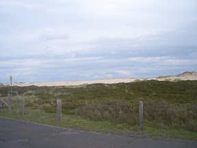 CIMG0975.JPG