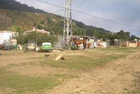 CIMG1435.JPG
