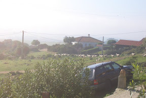 CIMG1631.JPG