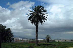DSCF0012.JPG