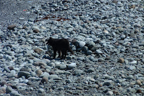 DSCF0037-2.JPG