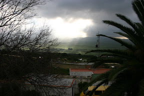 IMG_2552.jpg