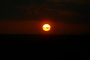 IMG_2544.jpg
