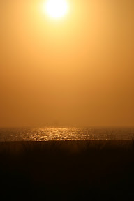 IMG_2732.jpg