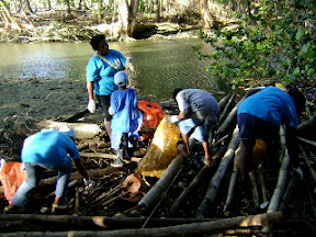 get to know your wetlands. Volunteer with Environment Tobago or any NGO close to you
