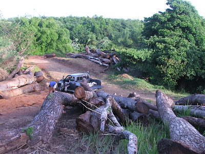 logging on the watershed