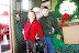 DSC0116_itA_116.JPG