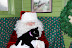 NHCMSantaCat1207.JPG