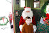 DSC_0015_015_015.JPG